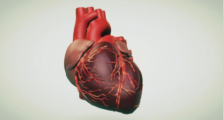 Corazón - Salud -