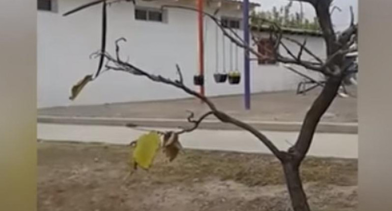 Niño fantasma en hamaca de Maipú - Video viral