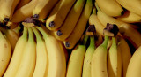 Bananas