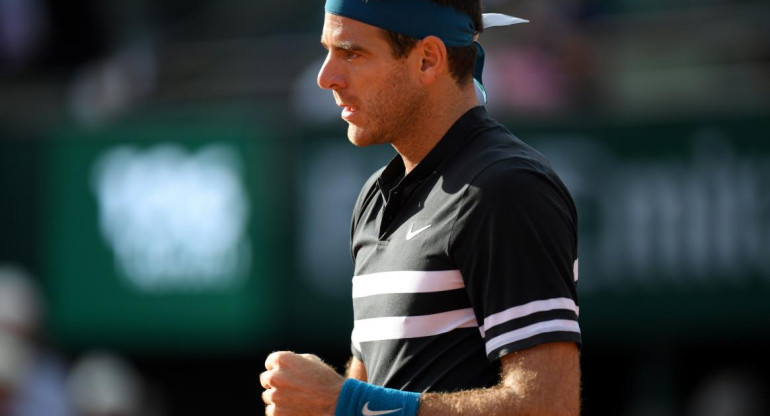 Juan Martín Del Potro, Roland Garros, NA