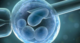 Fertilización - Tratamiento médico - Salud