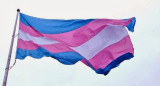 Bandera Trans, transexualidad