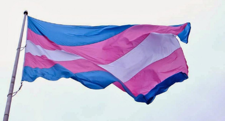 Bandera Trans, transexualidad