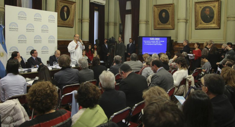 Debate por el aborto legal en el Senado (NA)