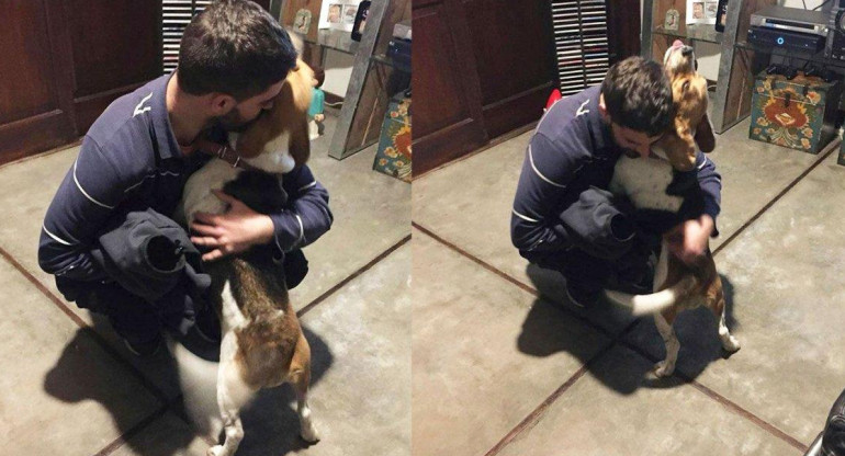 Reencuentro de perra con sus dueños después de cuatro meses