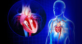 Medicina cardiovascular - Cardiología - Pacientes cardiológicos - Salud