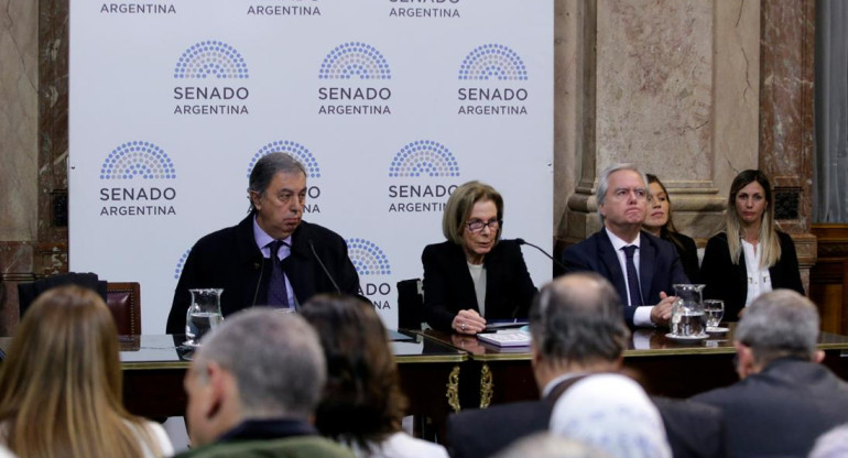 debate por aborto legal en el Senado (NA)