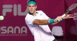 Del Potro - Tenis