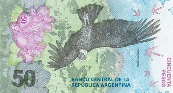 Nuevo billete de 50 pesos - Cóndor andino