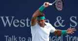 Juan Martín Del Potro en Cincinnati (Reuters)