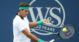 Juan Martín Del Potro en Cincinnati (NA)