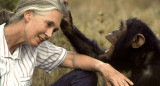 Jane Goodall