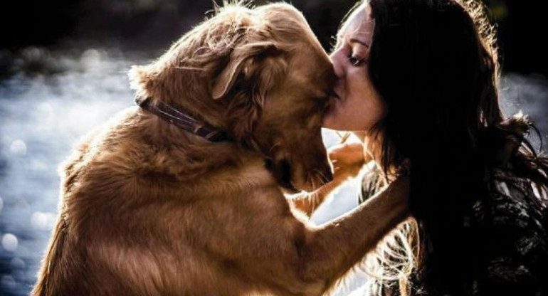Un veterinario revela lo que siente un perro antes de sacrificarlo