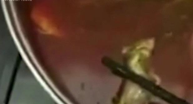 Embarazada encontró una rata en su sopa, China