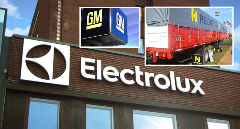Electrolux - GM - Helvética - Empresas