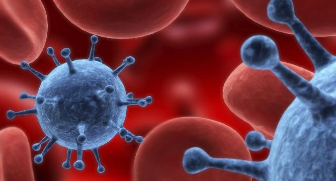 Celulas cancerígenas en sangre