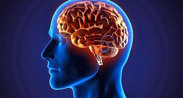 Enfermedad neurológica, cerebro, Parkinson, accidente cerebrovascular (ACV), demencia