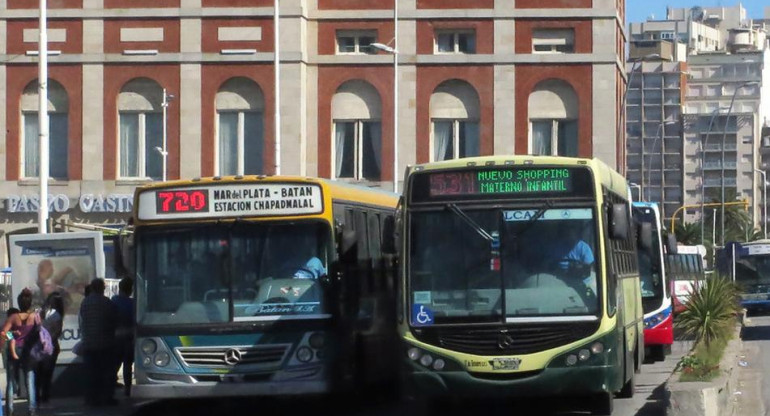 Colectivos en Mar del Plata, transporte público