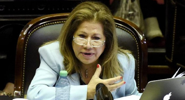 Graciela Camaño, Frente Renovador, Diputados, Política