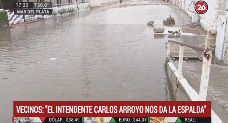 Mar del Plata en estado de abandono: grave denuncia contra el intendente Carlos Arroyo