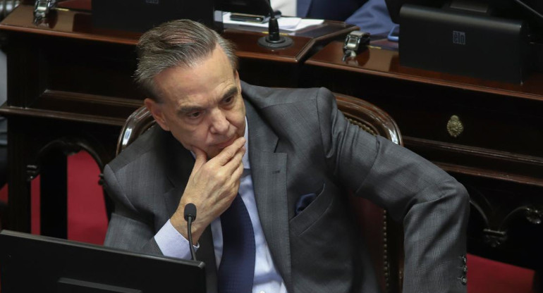 Miguel Angel Pichetto, senador, peronismo, política, NA
