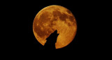 Superluna de Sangre de Lobo