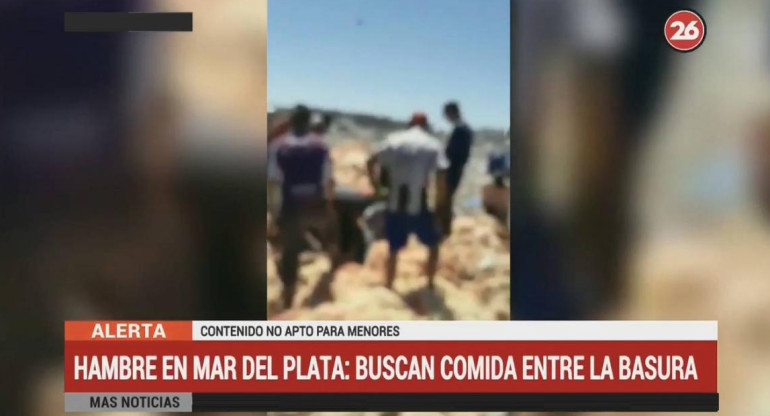 Mar del Plata: La gente busca Pollos en mal estado tirados por supermercado (Canal 26)