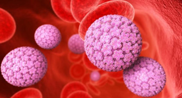 Virus del Papiloma Humano VPH - HVP, salud