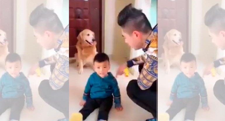 Video viral: perro se protege a niño del reto de su padre