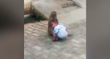  Video viral de monito que no quiere dejar a bebé que se acercó a jugar