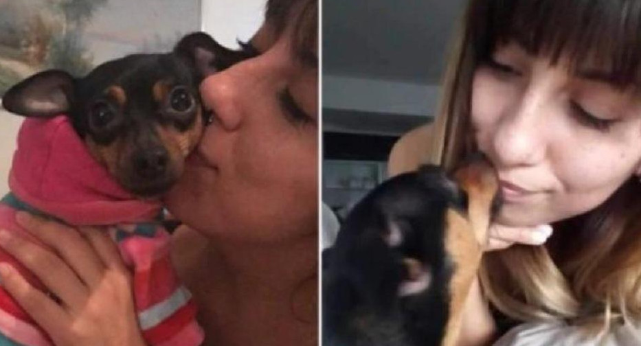 Mujer perdió a su mascota