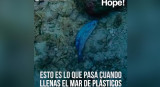 Hope! - Esto pasa cuando llenas el mar de plástico