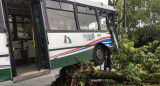 Choque de un colectivo contra un árbol en Villa Devoto