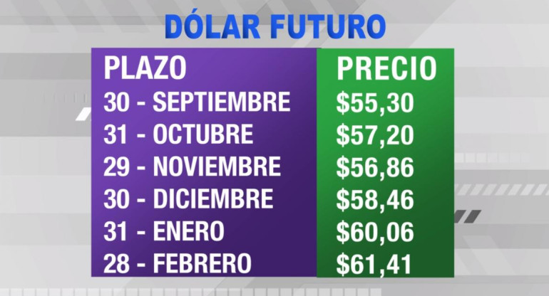 Dólar futuro, cotizaciones septiembre 2019 - febrero 2020, economía argentina, CANAL 26