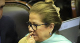 Graciela Camaño en el Congreso, Frente Renovador, política, NA