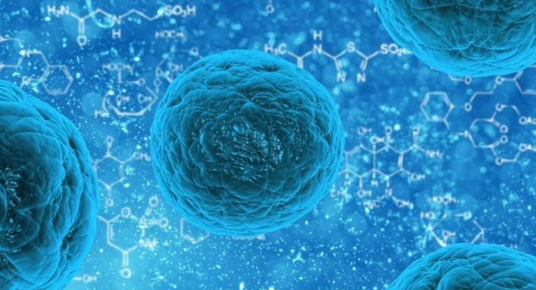 Candida auris, el misterioso y preocupante hongo inmune a los medicamentos