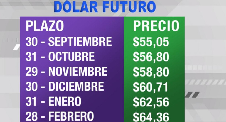 Dólar futuro, cotizaciones septiembre 2019 febrero 2020, economía argentina, CANAL 26