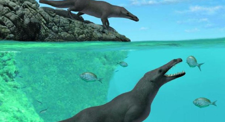 Perú: hallan ballena cuadrúpeda de 42.6 millones de años