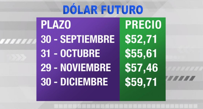 Dólar futuro, cotizaciones septiembre diciembre 2019, economía argentina, CANAL 26