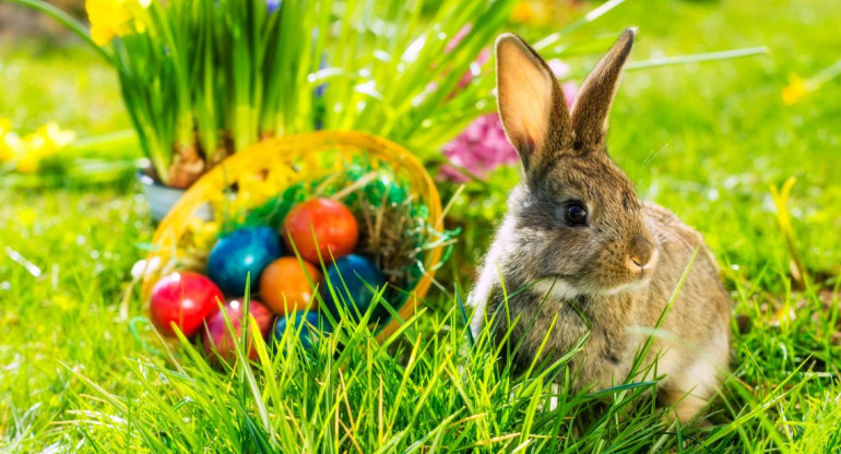 Pascuas, huevos, conejos, Semana Santa