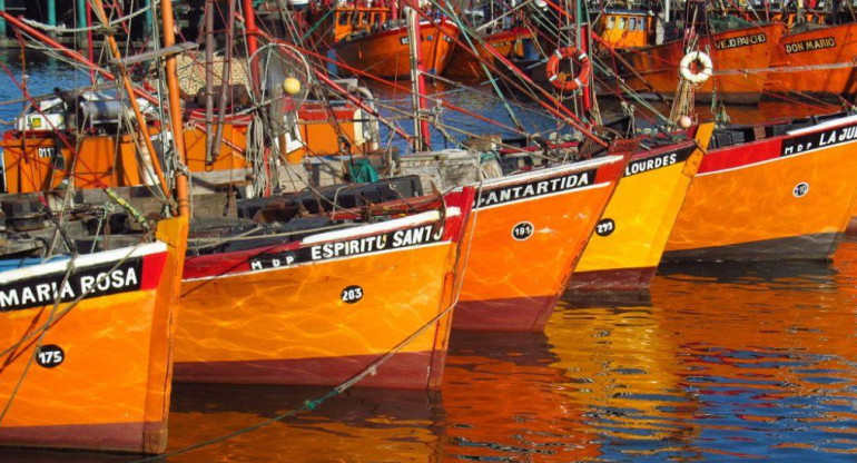 Pesqueros artesanales de Mar del Plata