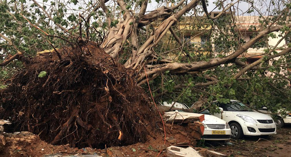 Al menos 42 muertos en India y Bangladés    Nueva Delhi, 5 mayo (AFP-NA) -- Al menos 42 personas murieron en India y Bangladés tras el paso del ciclón Fani, según un balance de las autoridades divulgado este domingo.    En el estado de Odisha, en el este 