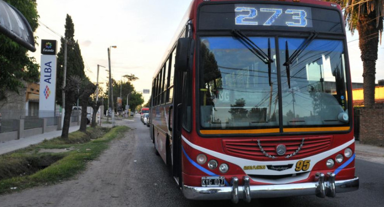 Paro e colectivo en Provincia