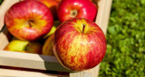 Manzanas. Foto: NA.