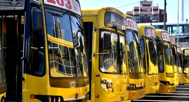 Paro de colectivos, transporte público, pasajeros