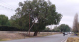 Viento zonda, destrozos en Mendoza, fotos