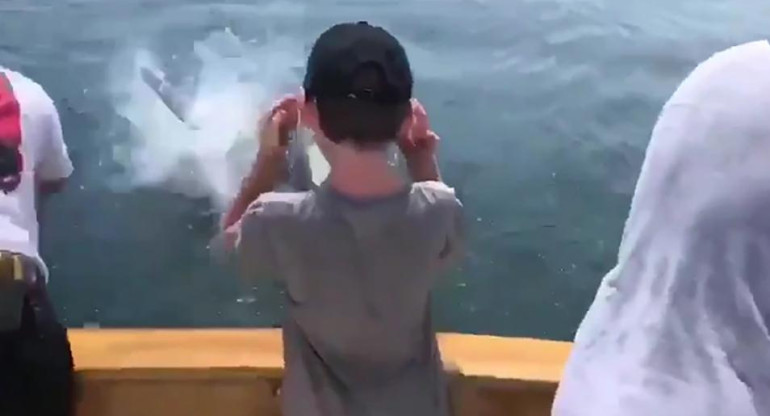 Video viral, tiburón blanco aterrorizó a una familia en su día de pesca	
