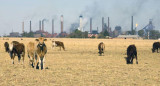 ONU, cambio climático, carne