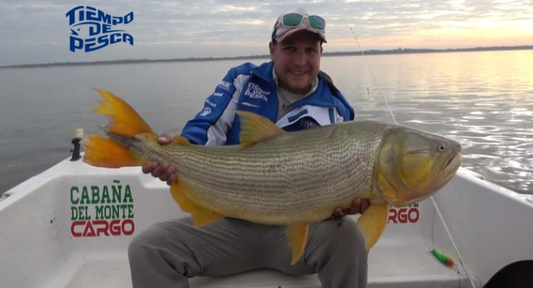 Video viral, pesca de dorado gigante