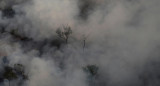 Incendio Amazonia, REUTERS